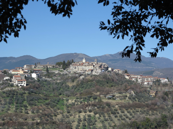 IMG 3506.JPG
