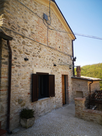 foto arenarius ornaro alto