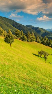 foto relax montelibretti