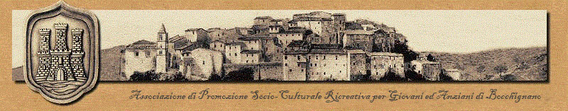 logo aps bocchignano