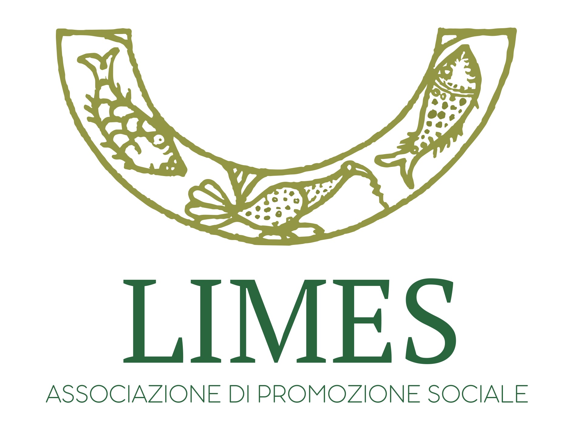 logo limes aps