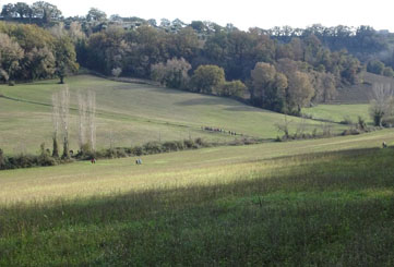 IMG 7304.JPG